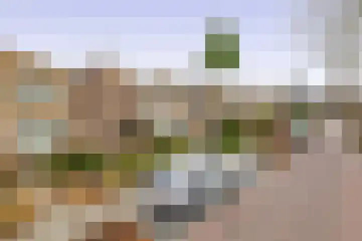 Twintighoven 50 Zevenbergen thumbnail 5