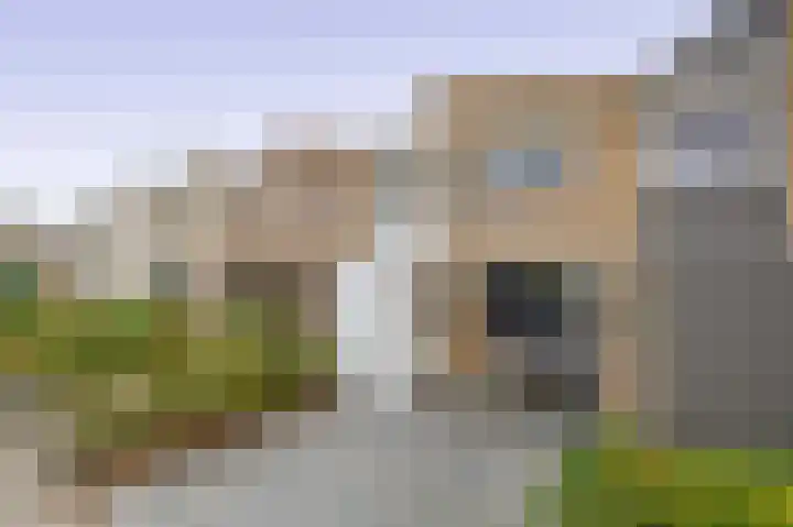 Twintighoven 50 Zevenbergen thumbnail 6