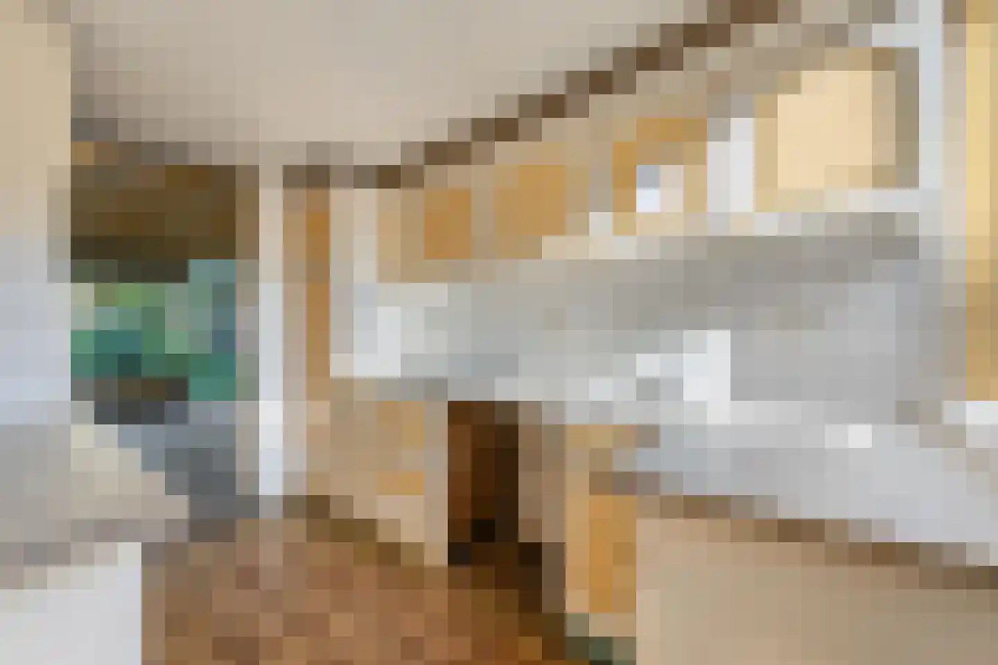Twiskeweg 125 Zaandam thumbnail 10