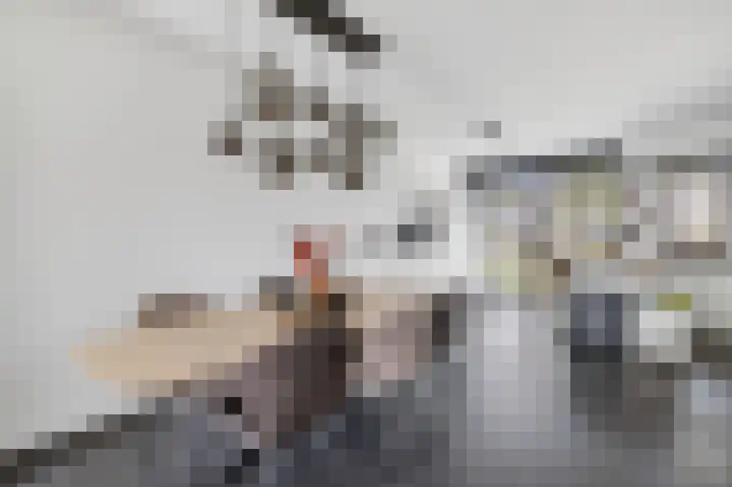 Twiskeweg 2 Zaandam thumbnail 10