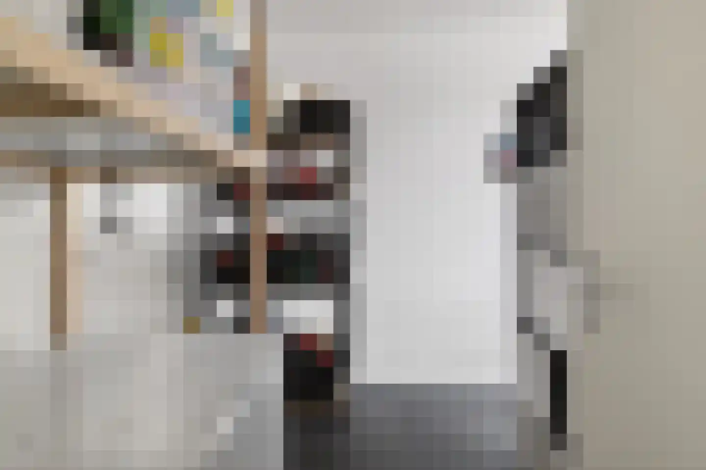 Twiskeweg 2 Zaandam thumbnail 15