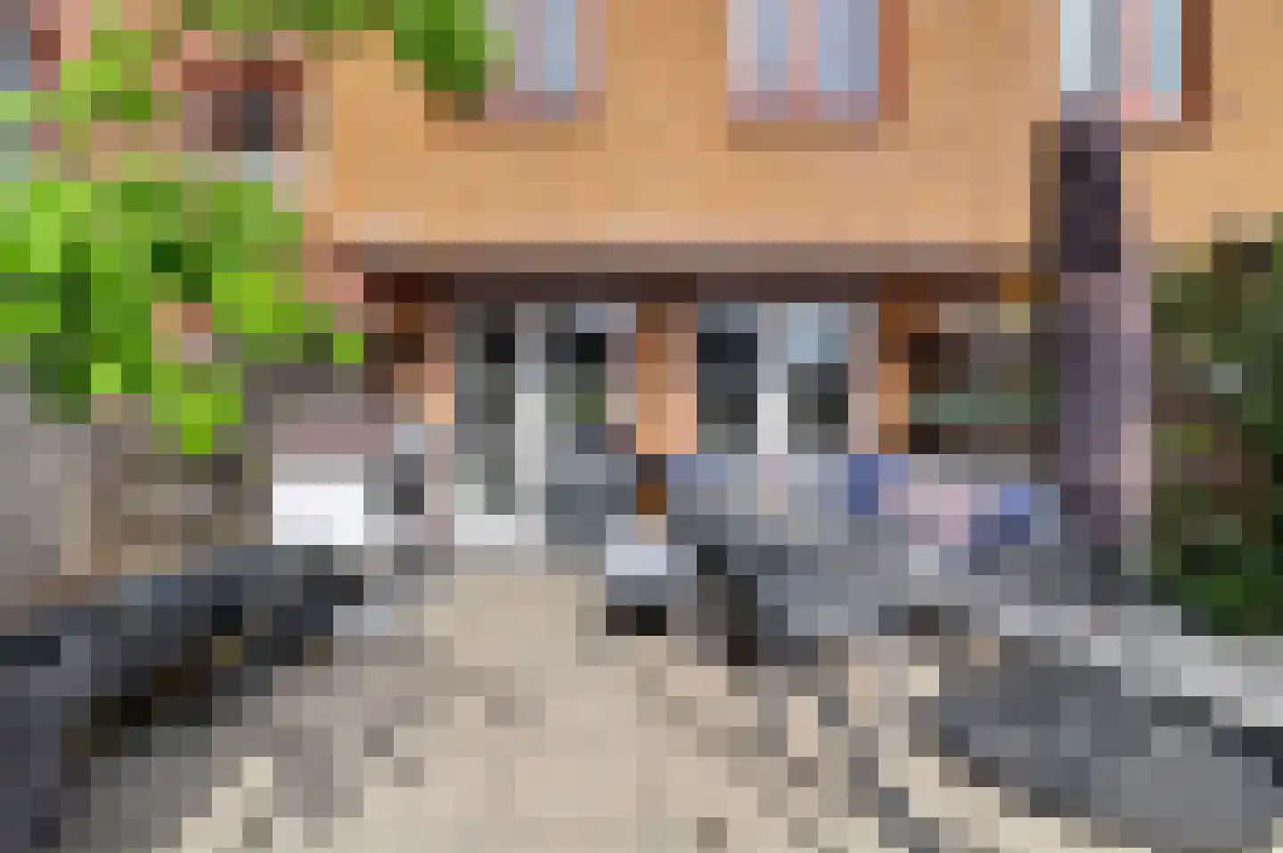 Twiskeweg 2 Zaandam thumbnail 26