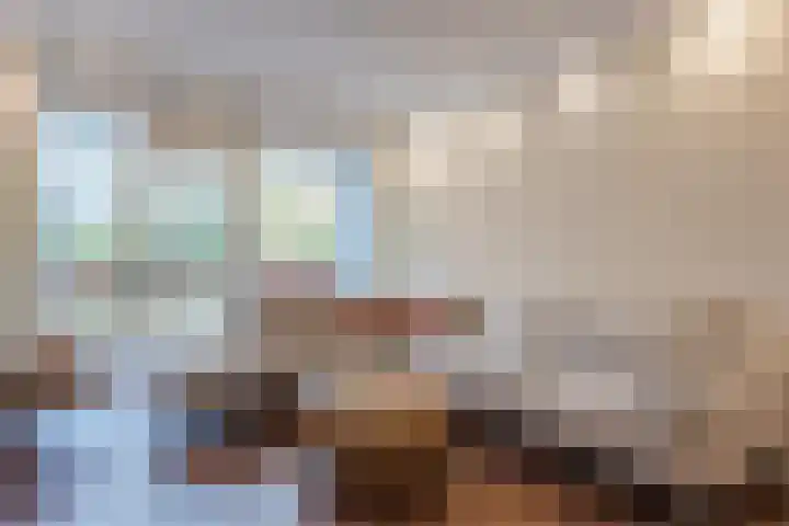 Twiskeweg 340 Zaandam thumbnail 15