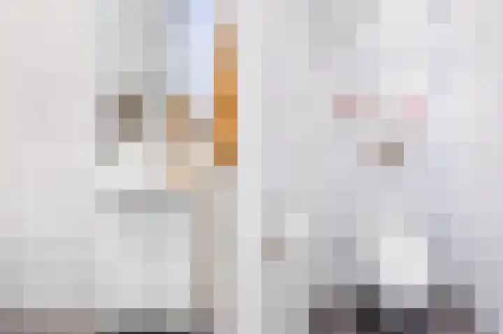 Twiskeweg 340 Zaandam thumbnail 31