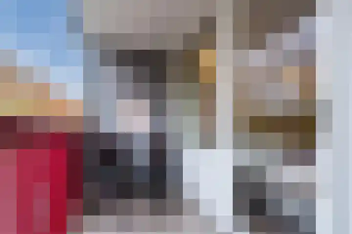 Twiskeweg 340 Zaandam thumbnail 32