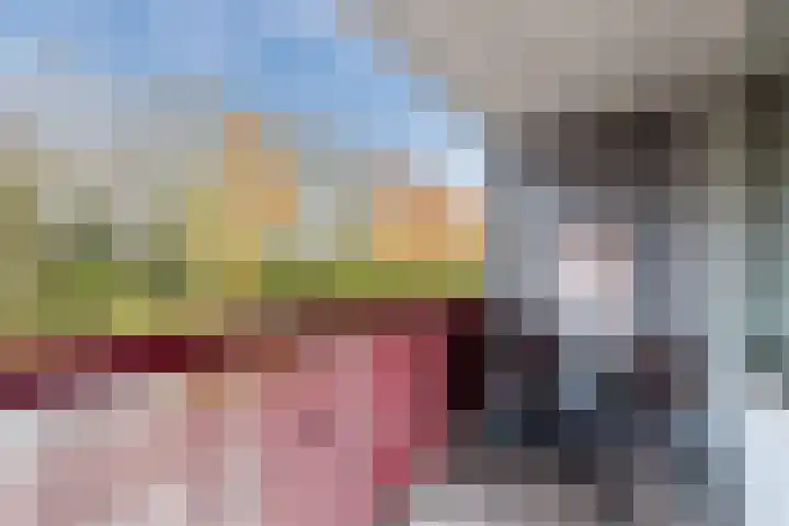 Twiskeweg 340 Zaandam thumbnail 33