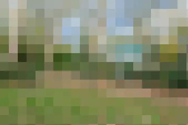 Twiskeweg 340 Zaandam thumbnail 37