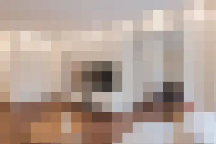 Twiskeweg 340 Zaandam thumbnail 9