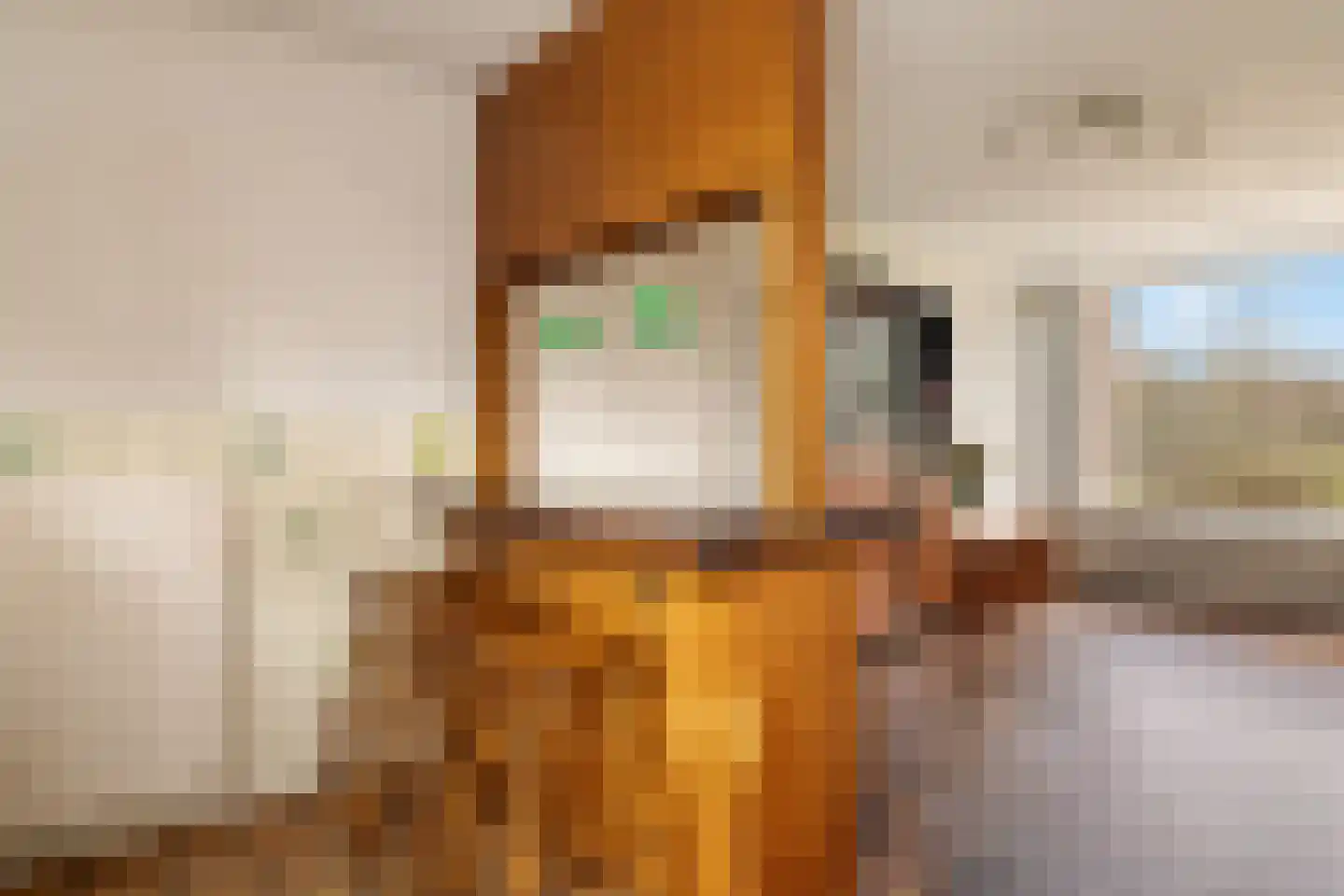 Twiskeweg 49 Zaandam thumbnail 12