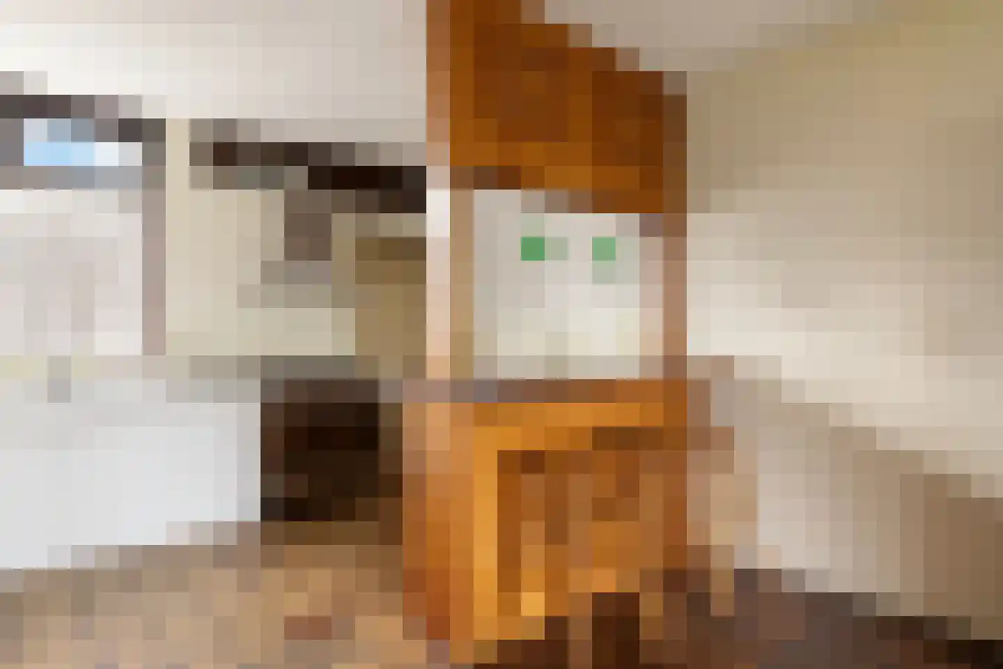 Twiskeweg 49 Zaandam thumbnail 13