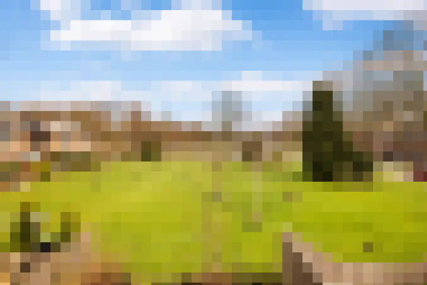 Twiskeweg 49 Zaandam thumbnail 28