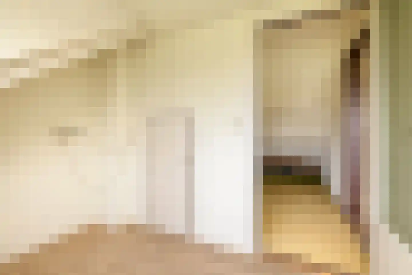 Twiskeweg 49 Zaandam thumbnail 37