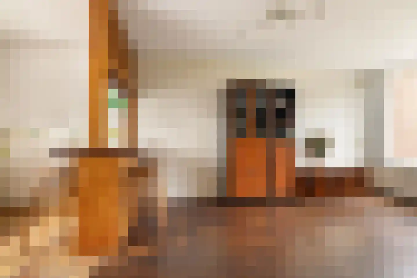 Twiskeweg 49 Zaandam thumbnail 4