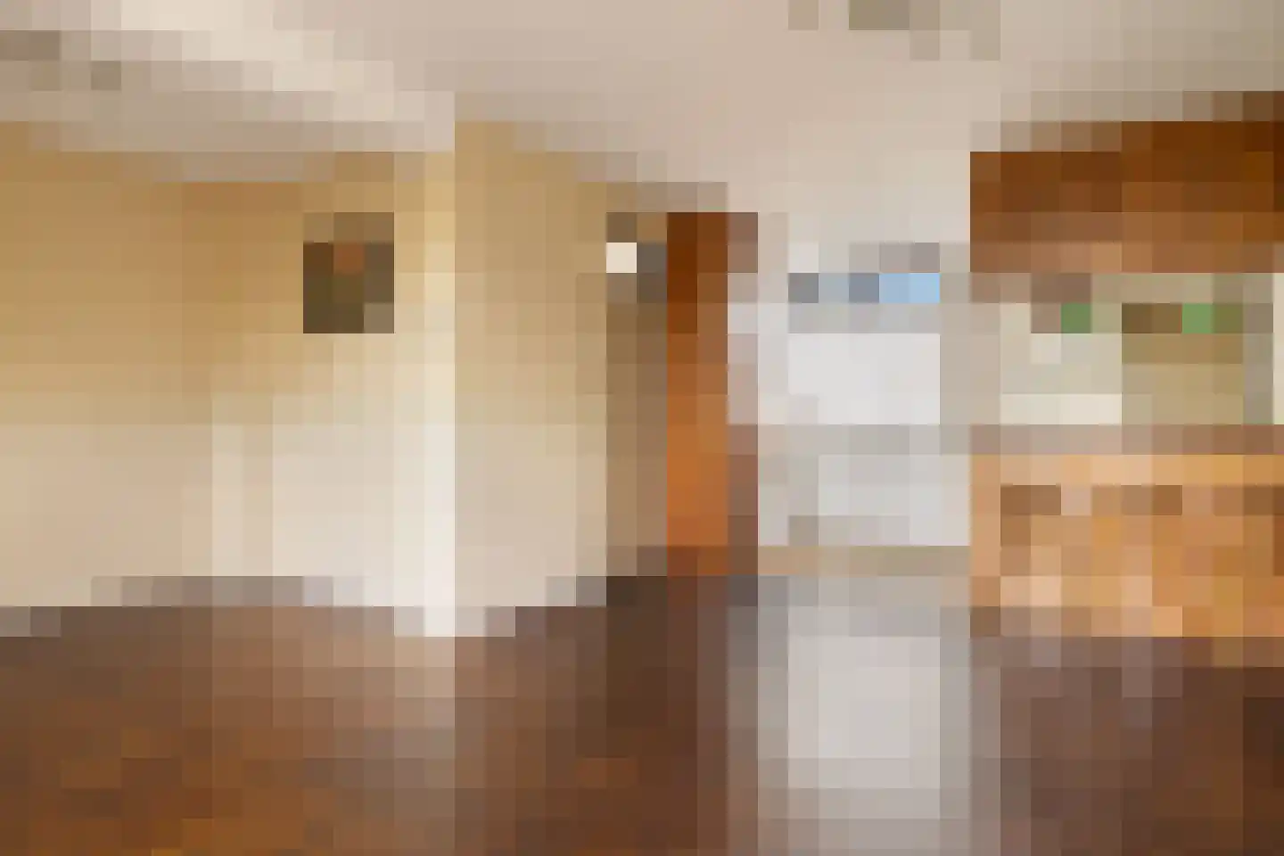 Twiskeweg 49 Zaandam thumbnail 9