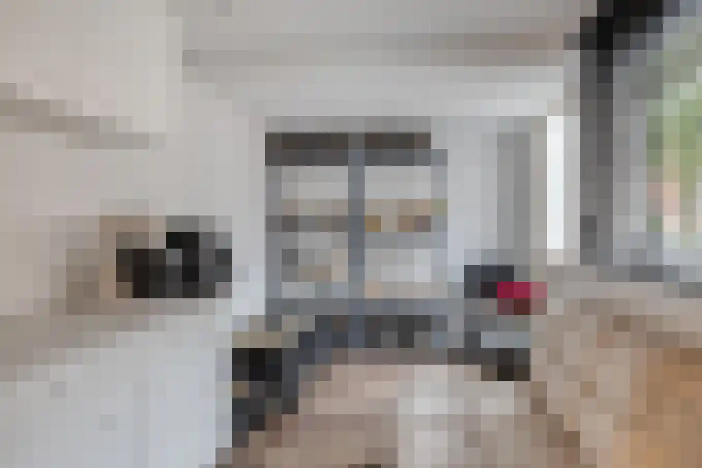 Twiskeweg 5 Zaandam thumbnail 20