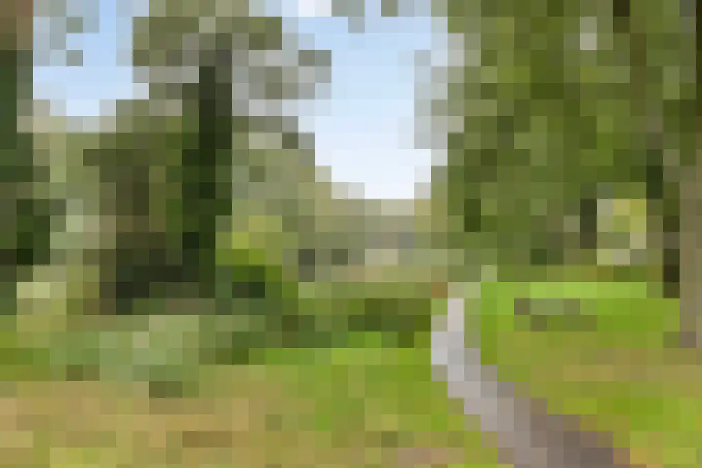 Twiskeweg 5 Zaandam thumbnail 40