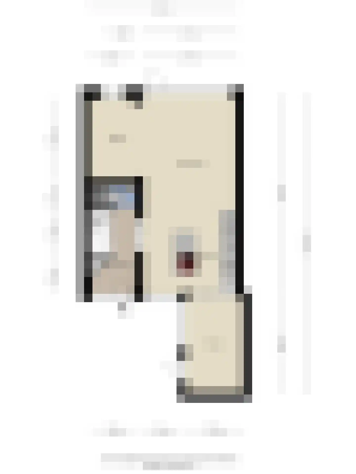 Twiskeweg 5 Zaandam thumbnail 49