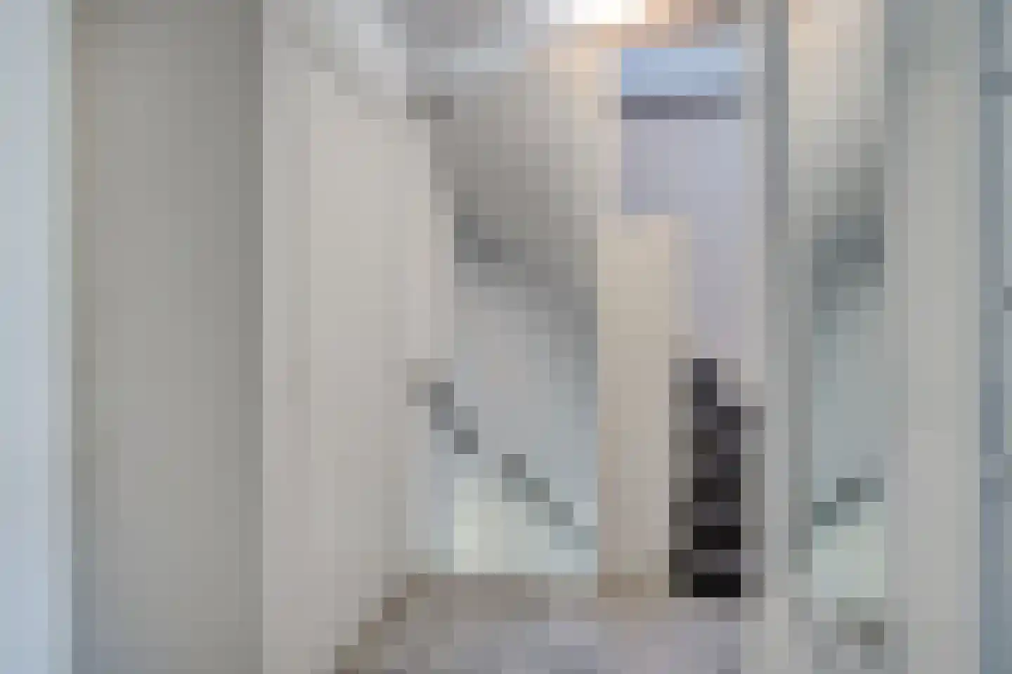 Twiskeweg 51 Zaandam thumbnail 8