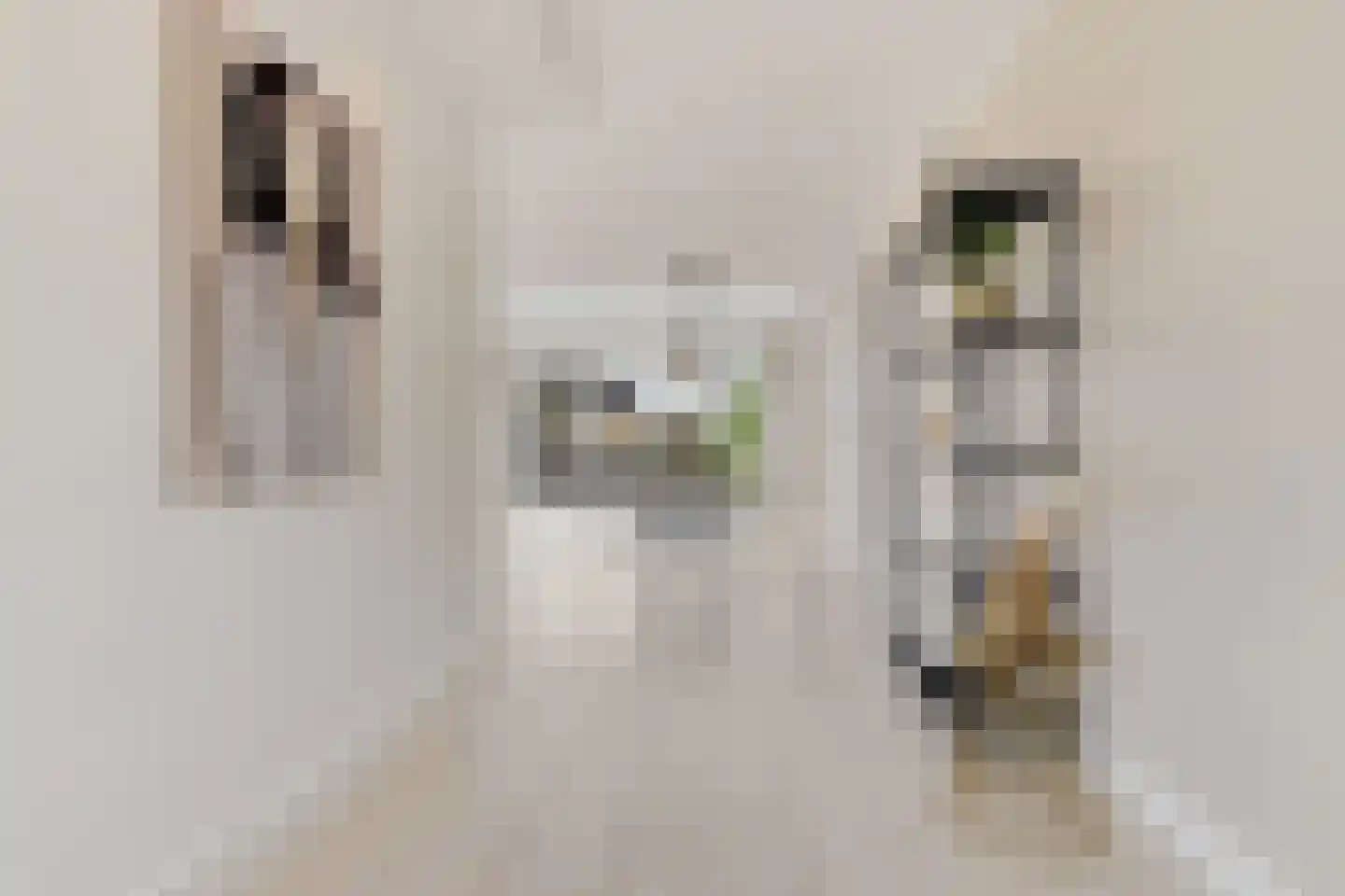 Twiskeweg 77 Oostzaan thumbnail 12