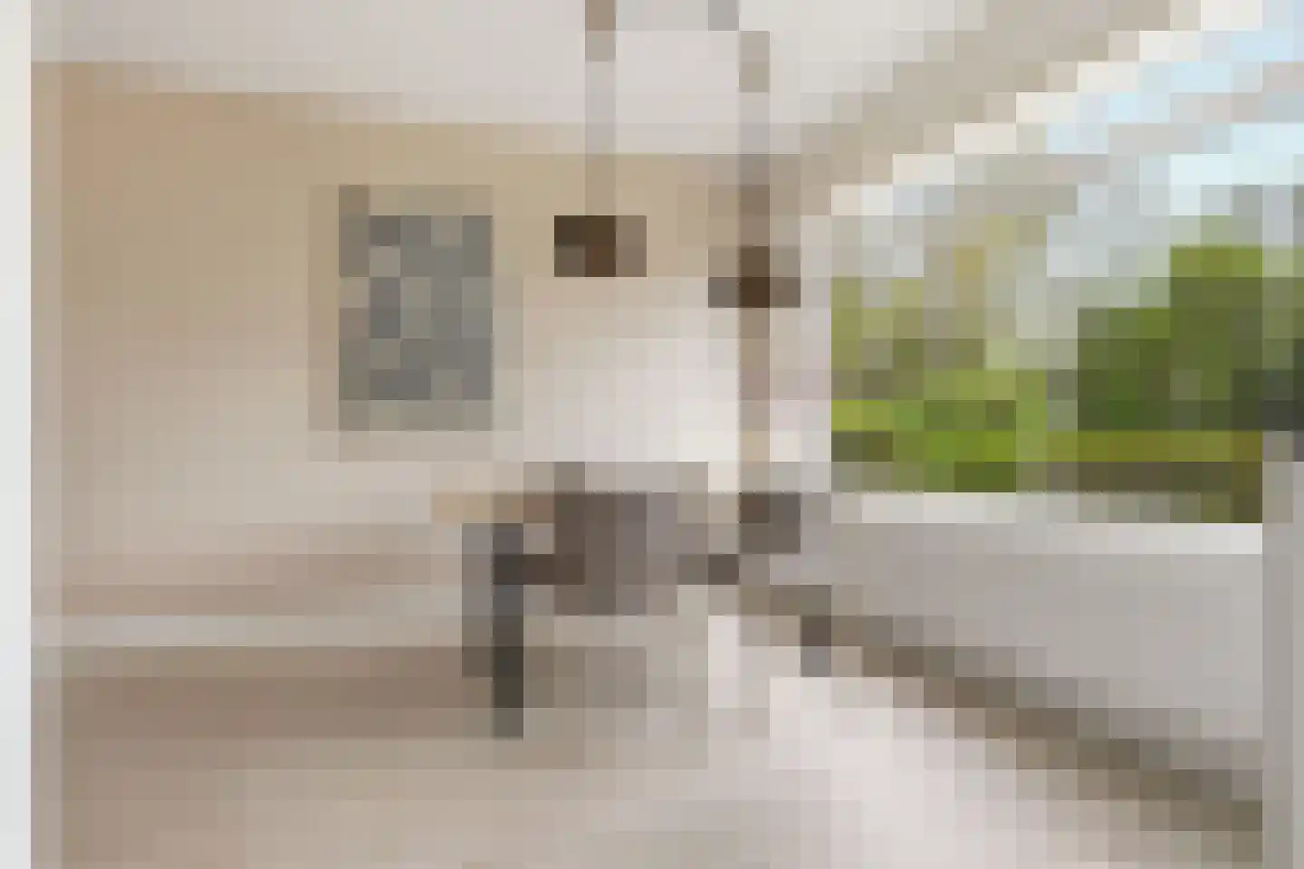 Twiskeweg 77 Oostzaan thumbnail 13