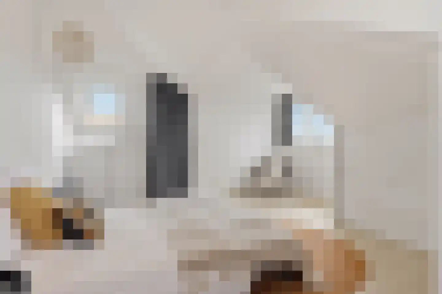 Twiskeweg 77 Oostzaan thumbnail 33
