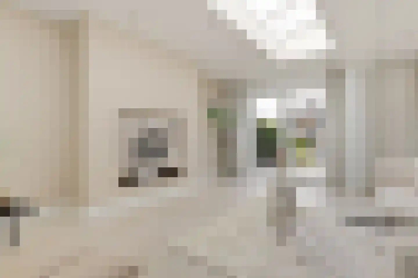 Twiskeweg 77 Oostzaan thumbnail 7