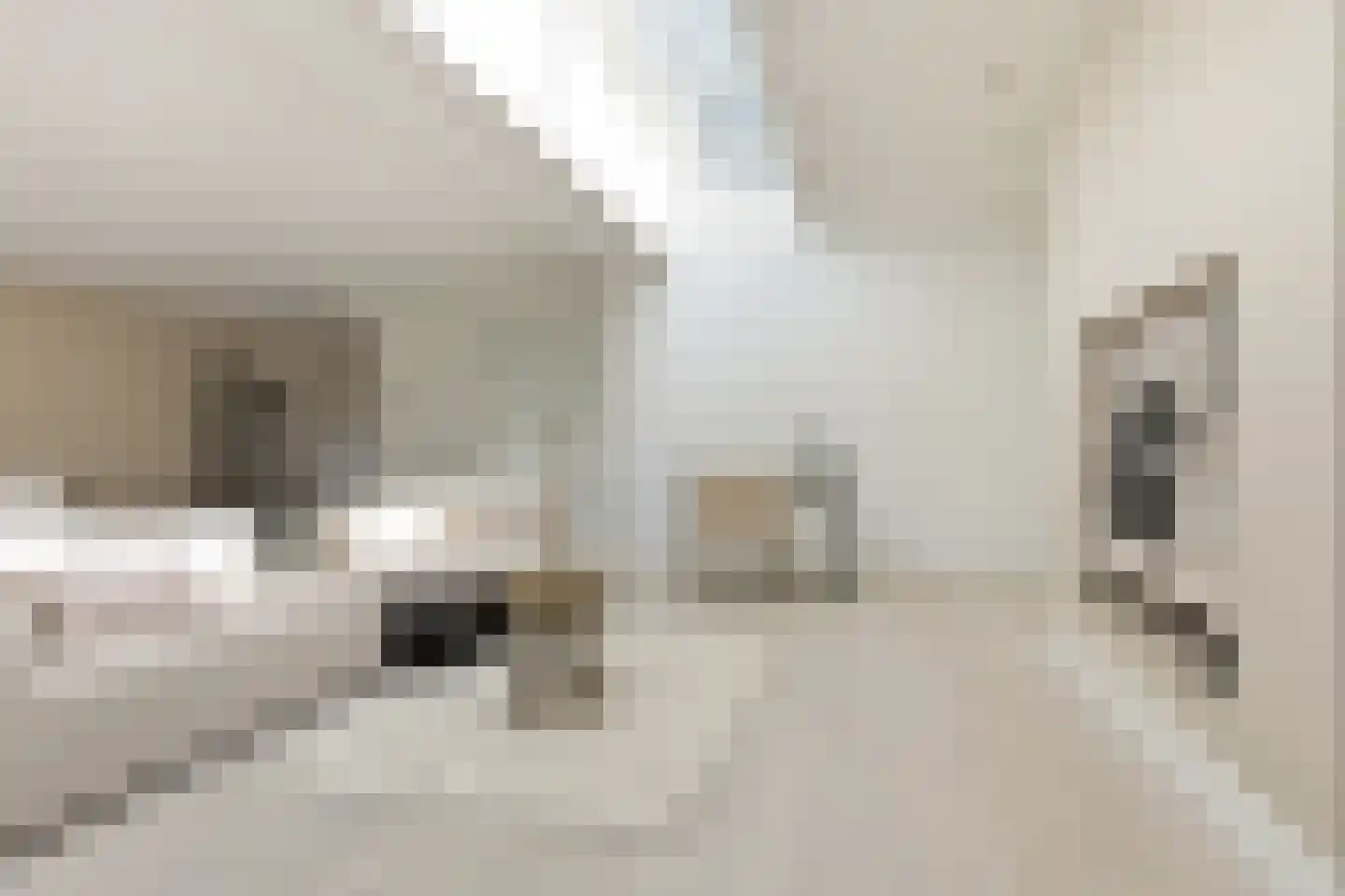 Twiskeweg 77 Oostzaan thumbnail 8