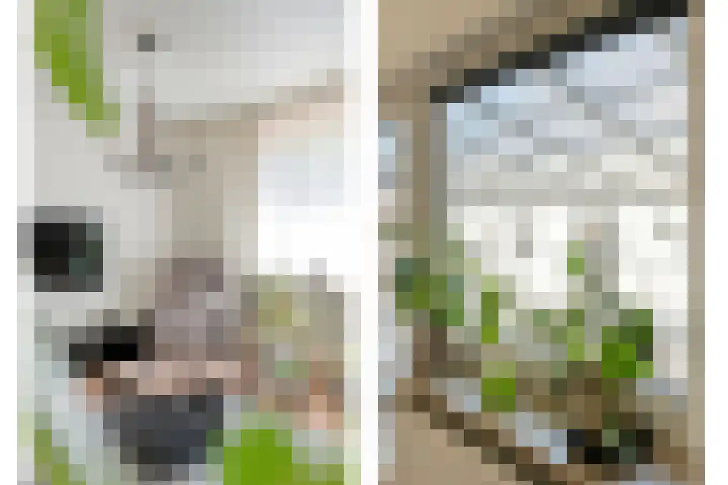 Twist 1 Nieuw-Vennep thumbnail 26