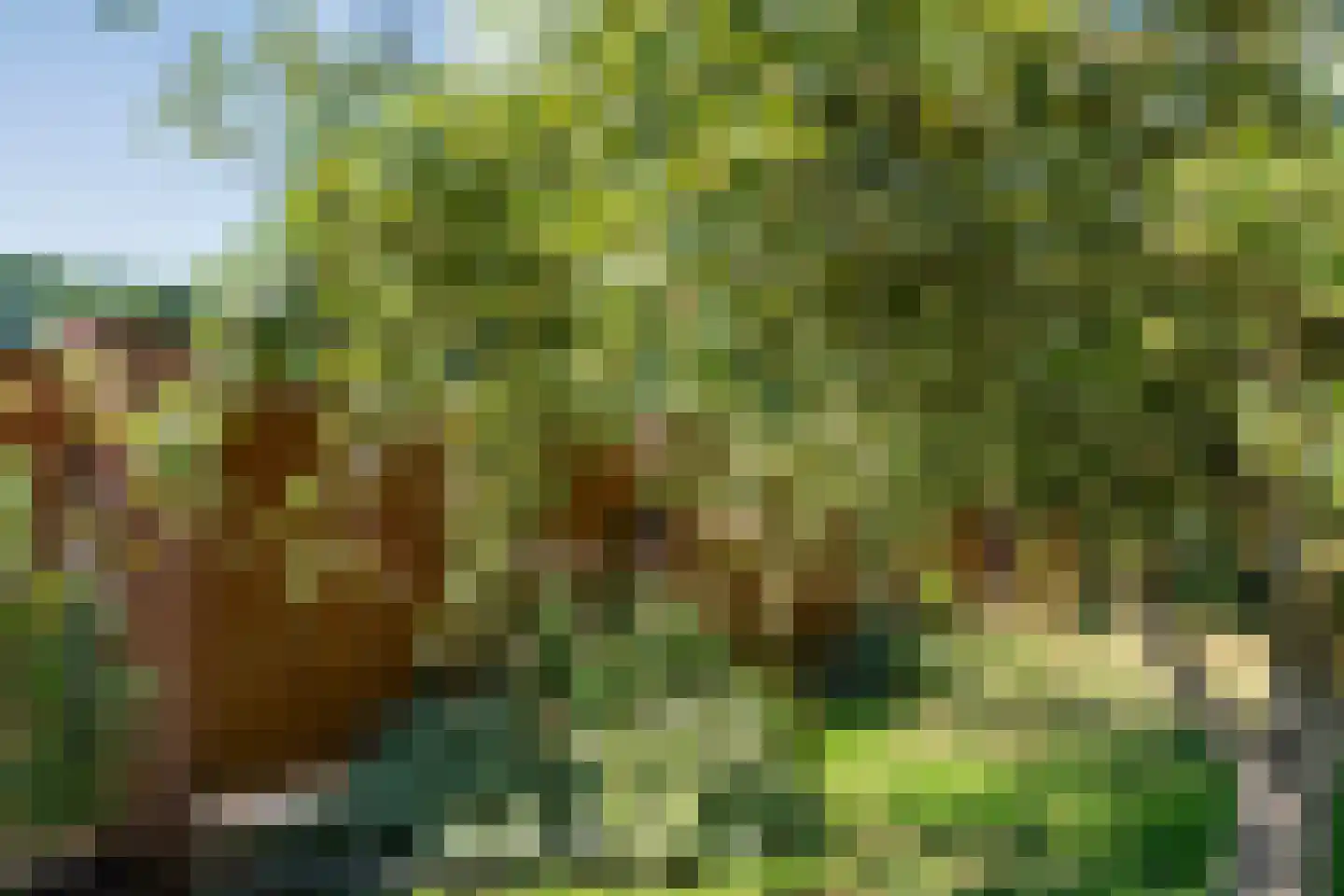 Twist 1 Nieuw-Vennep thumbnail 82