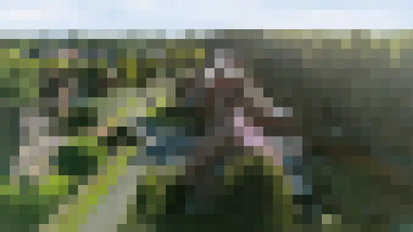 Twist 15 Nieuw-Vennep thumbnail 49