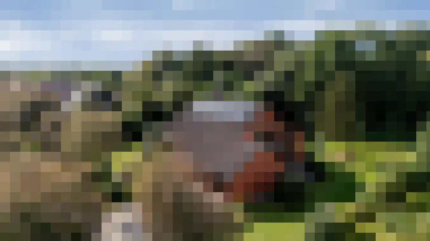 Twist 19 Nieuw-Vennep thumbnail 5