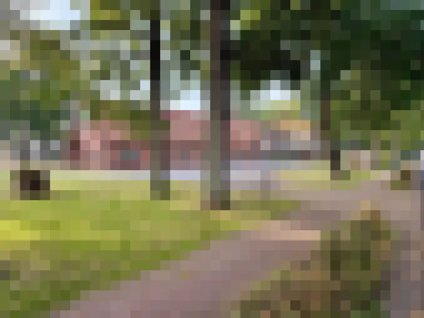 Twist 19 Nieuw-Vennep thumbnail 66