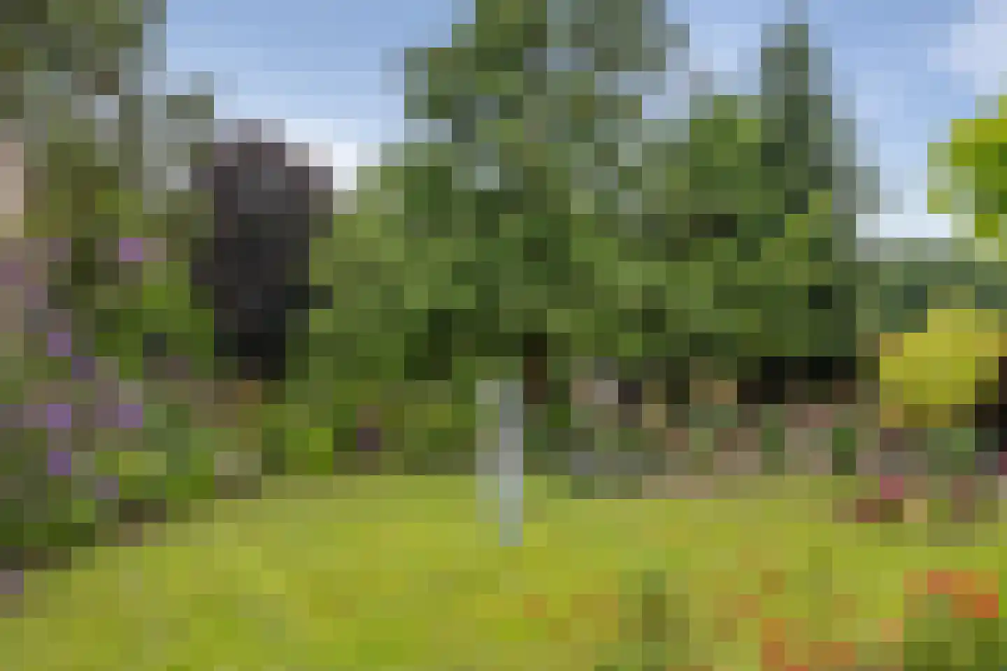Twist 49 Nieuw-Vennep thumbnail 23