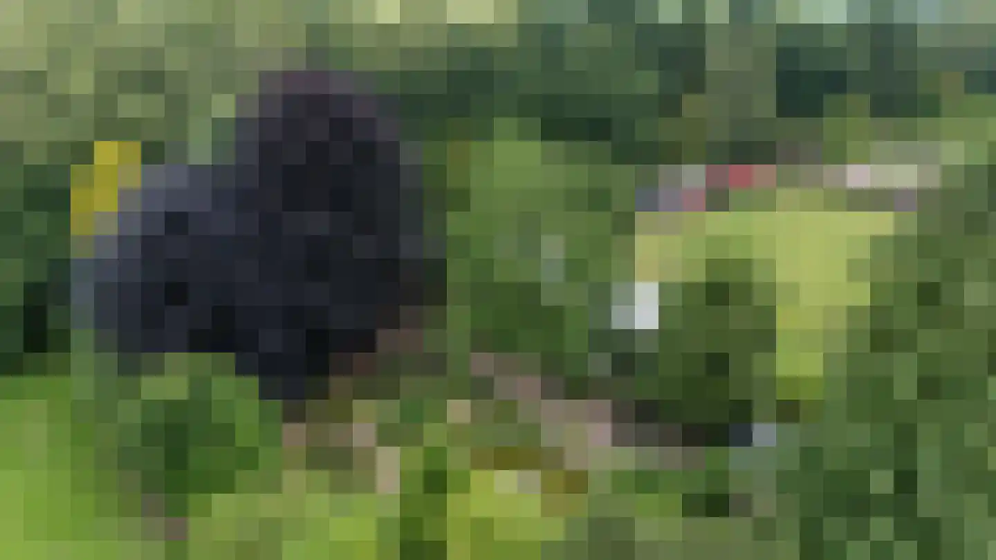 Twist 49 Nieuw-Vennep thumbnail 77
