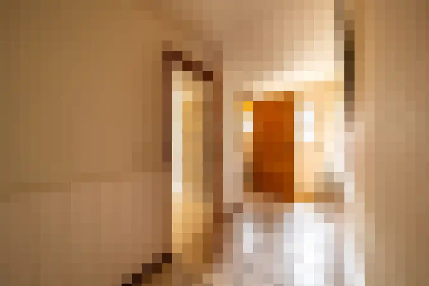Twistdijk 4 Gelselaar thumbnail 10