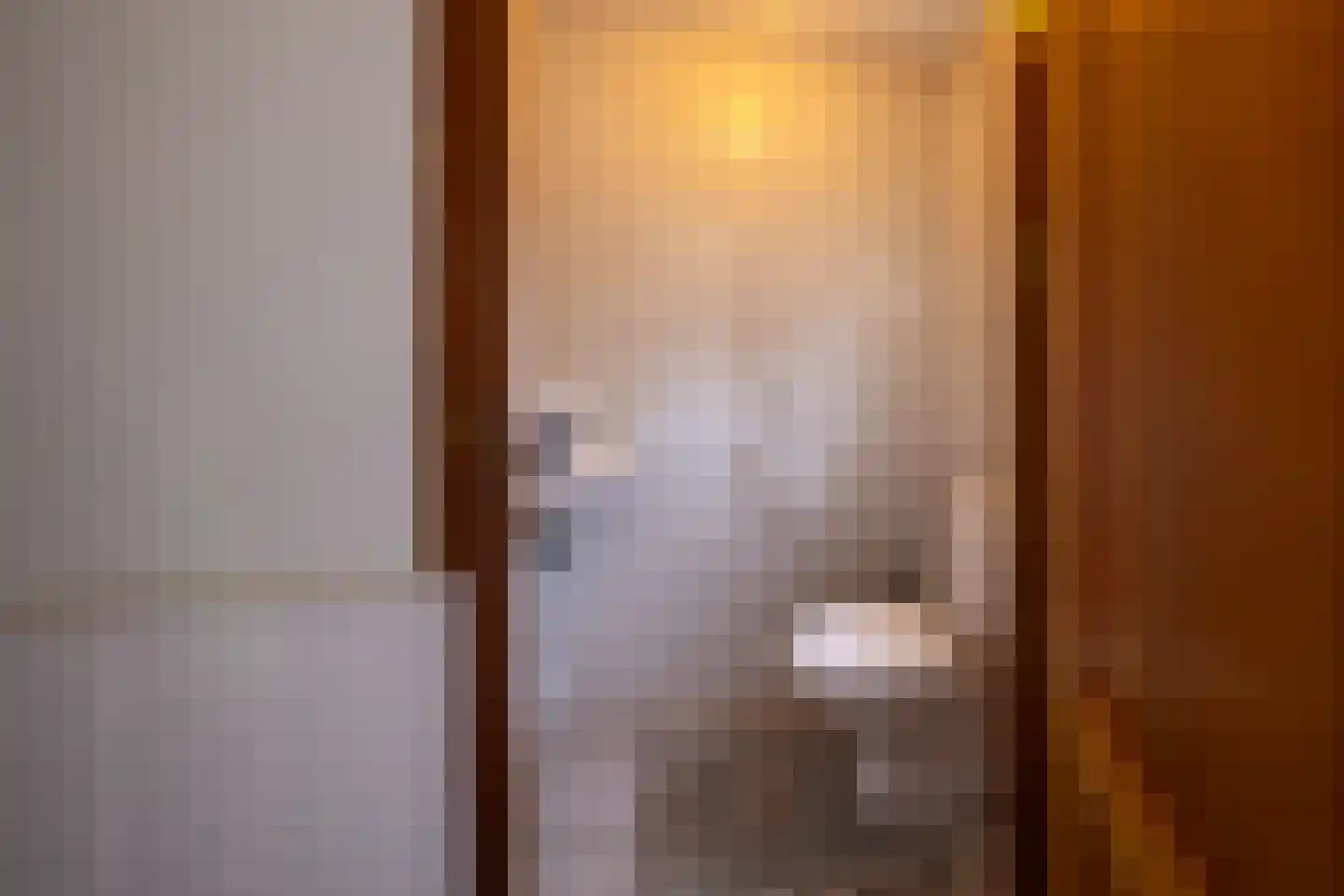 Twistdijk 4 Gelselaar thumbnail 11
