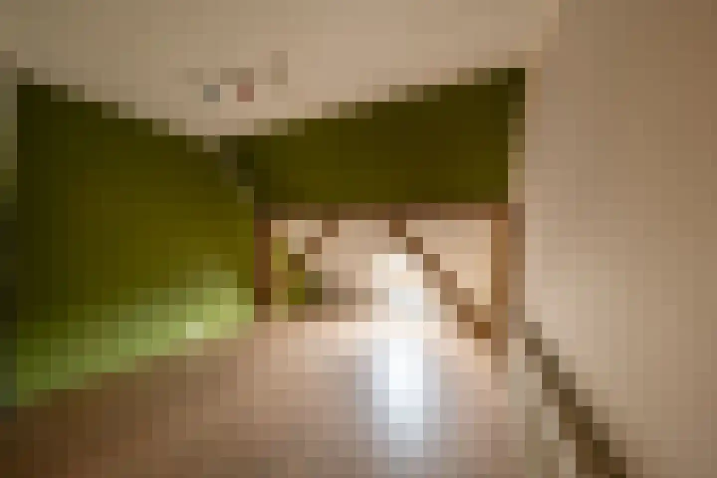 Twistdijk 4 Gelselaar thumbnail 15