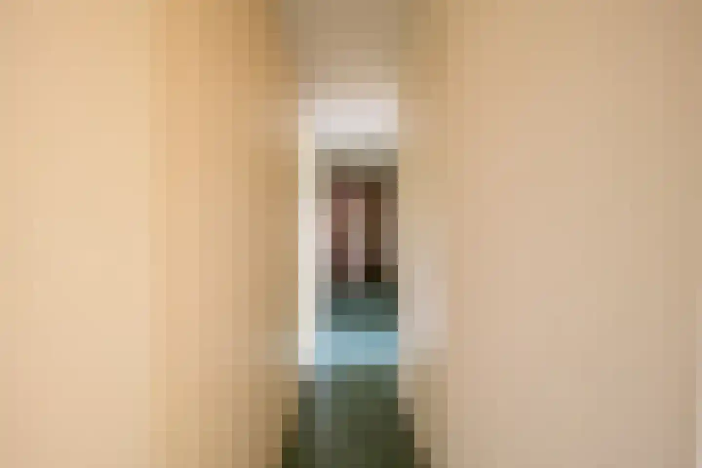 Twistdijk 4 Gelselaar thumbnail 18