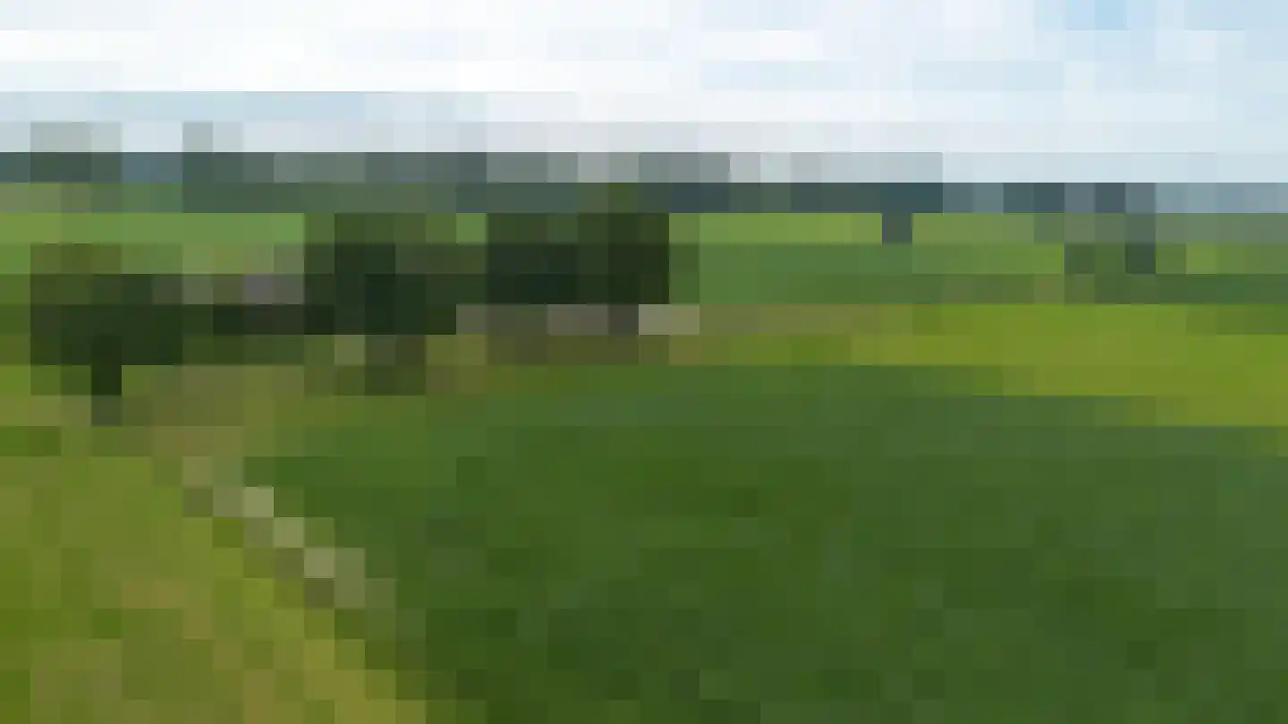 Twistdijk 4 Gelselaar foto 2