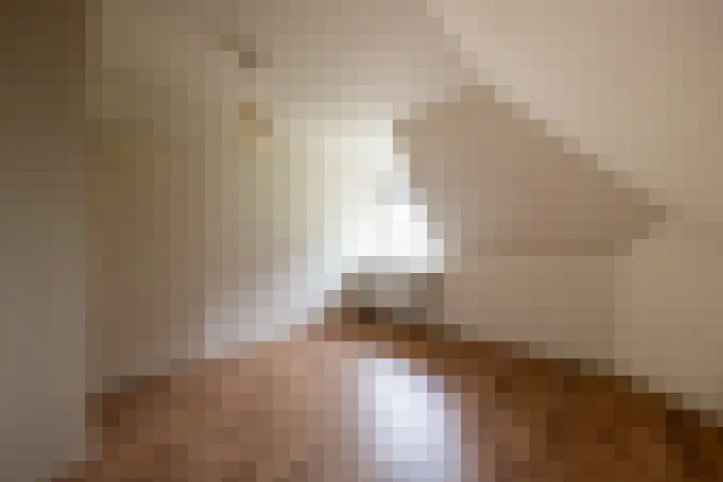 Twistdijk 4 Gelselaar thumbnail 21