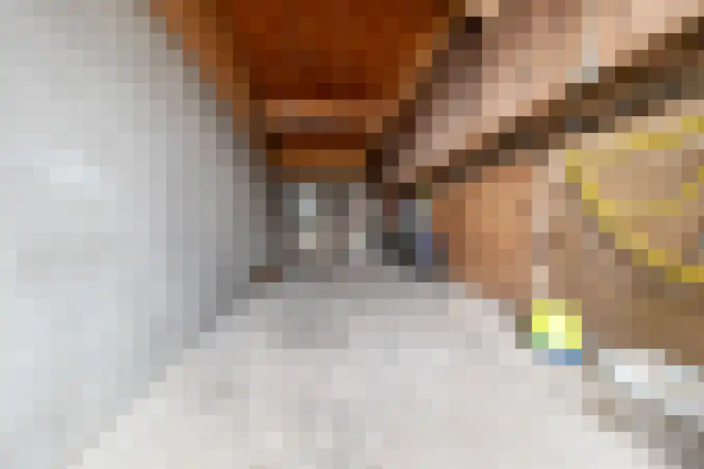 Twistdijk 4 Gelselaar thumbnail 23