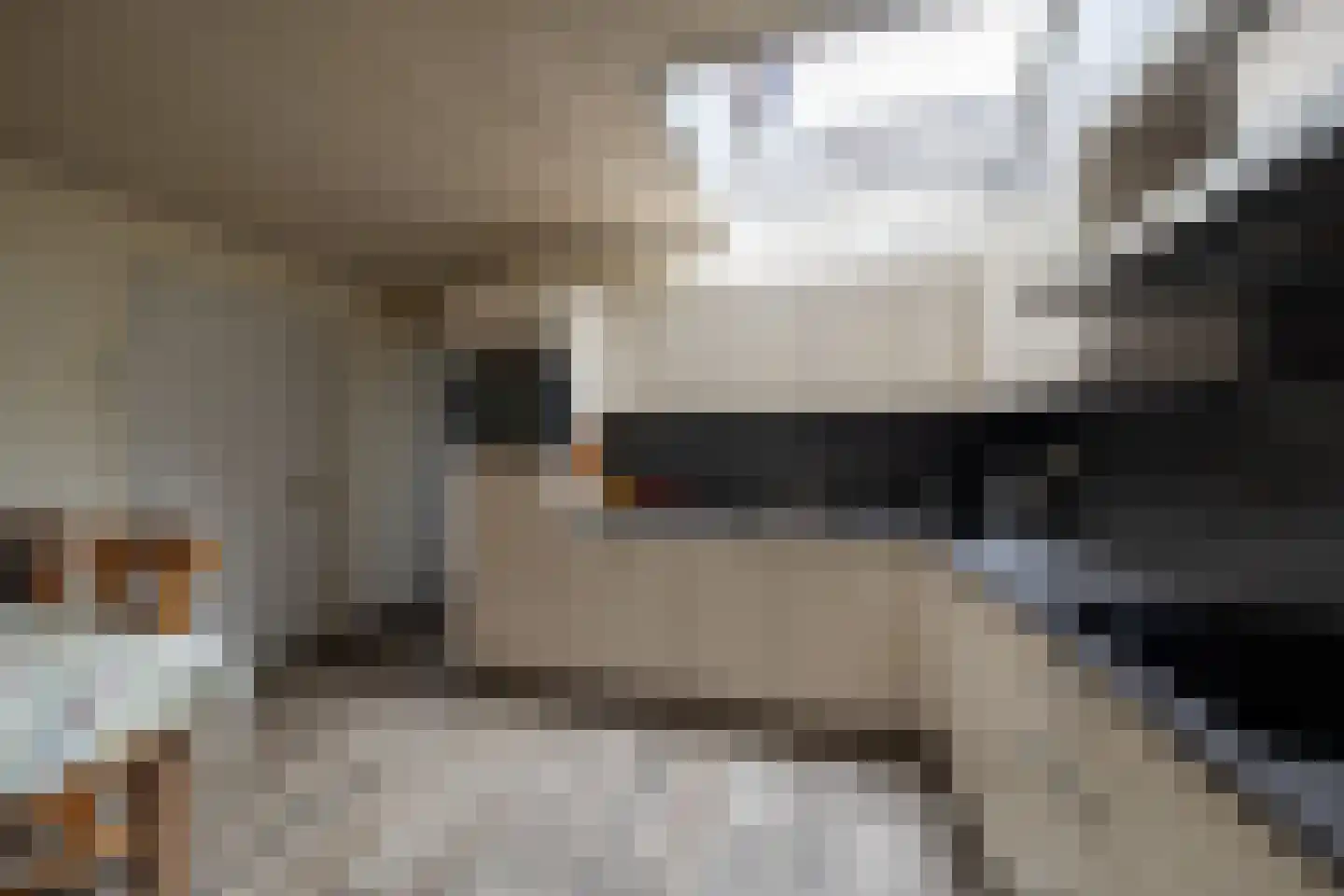 Twistdijk 4 Gelselaar thumbnail 24