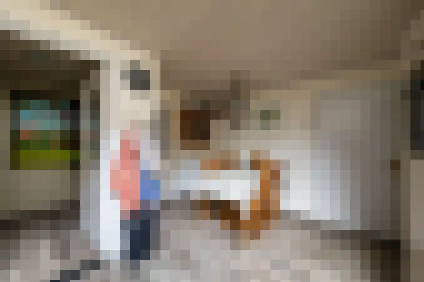 Twistdijk 4 Gelselaar thumbnail 25