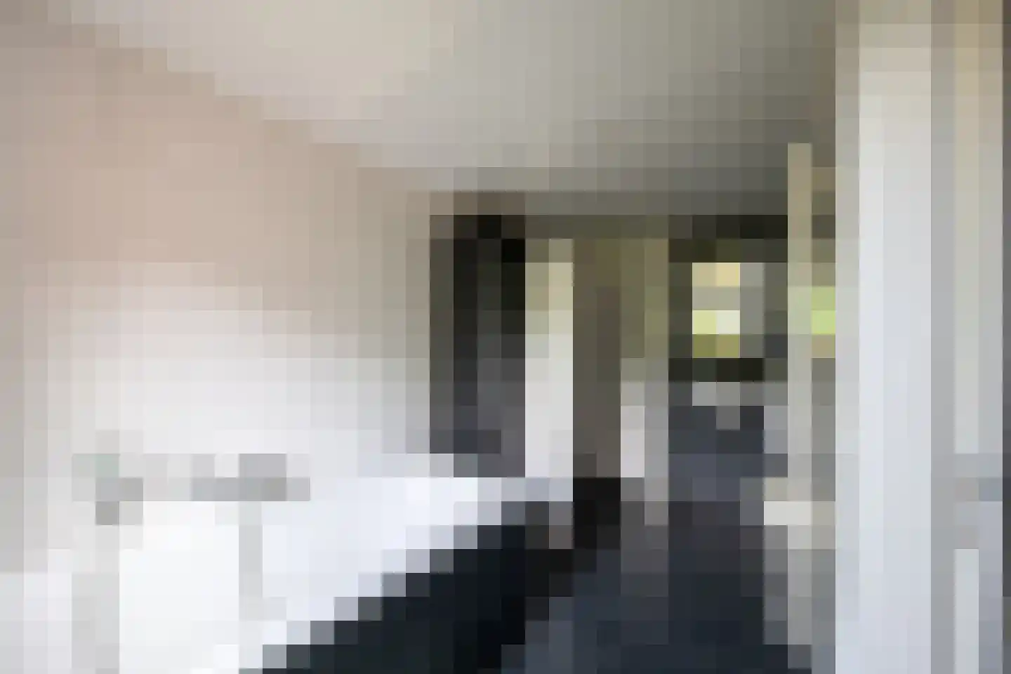 Twistdijk 4 Gelselaar thumbnail 31