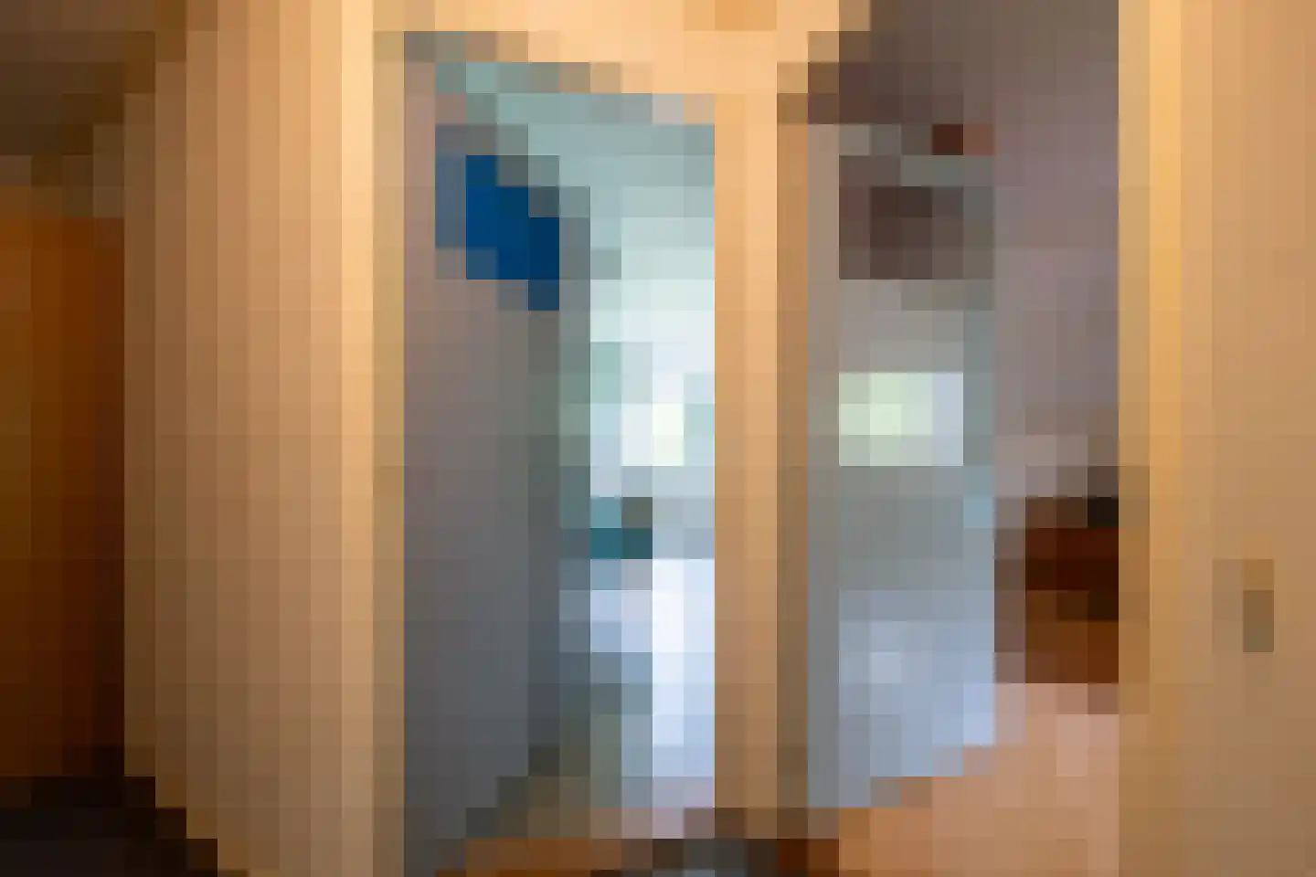 Twistdijk 4 Gelselaar thumbnail 36
