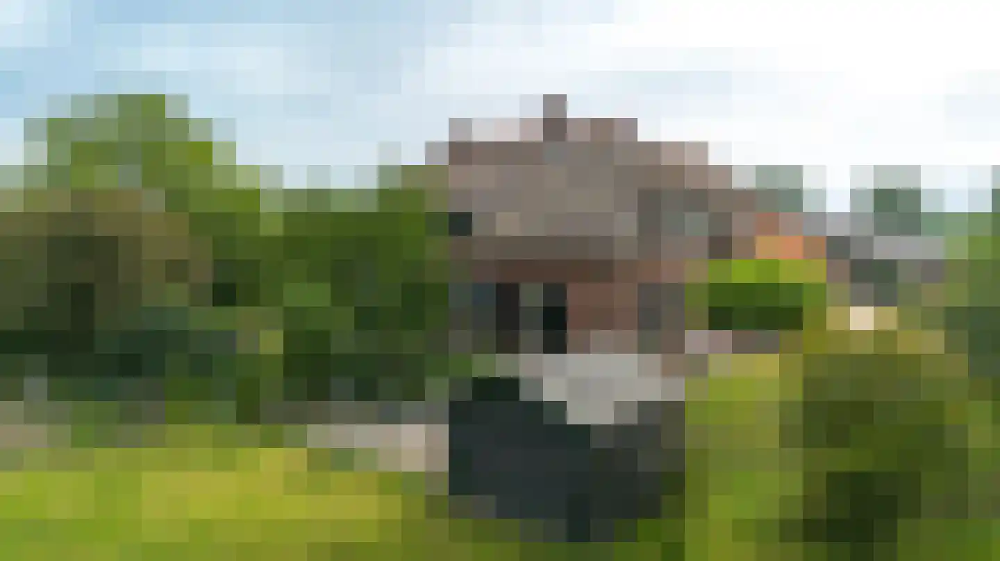 Twistdijk 4 Gelselaar thumbnail 4