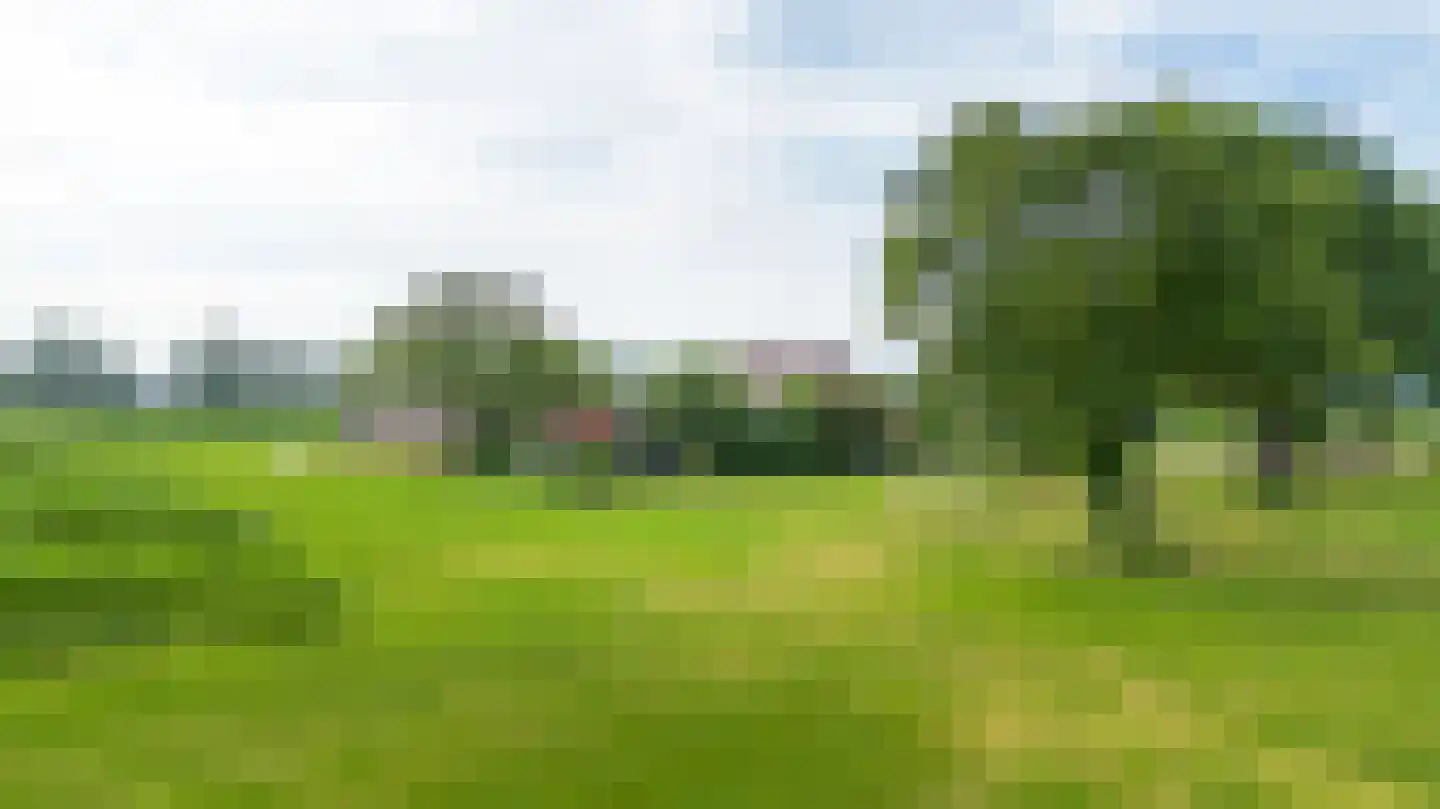 Twistdijk 4 Gelselaar thumbnail 40