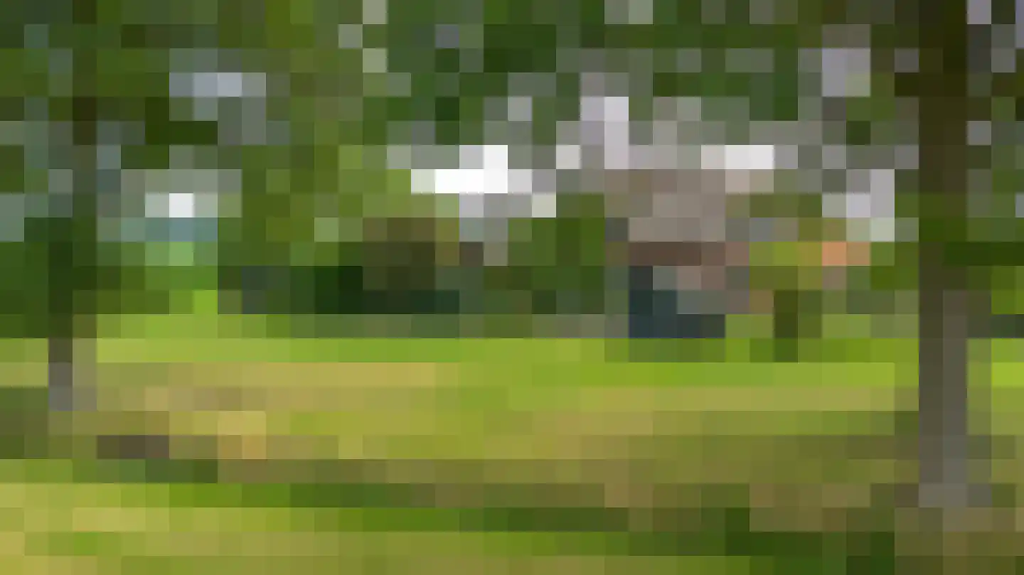 Twistdijk 4 Gelselaar thumbnail 41