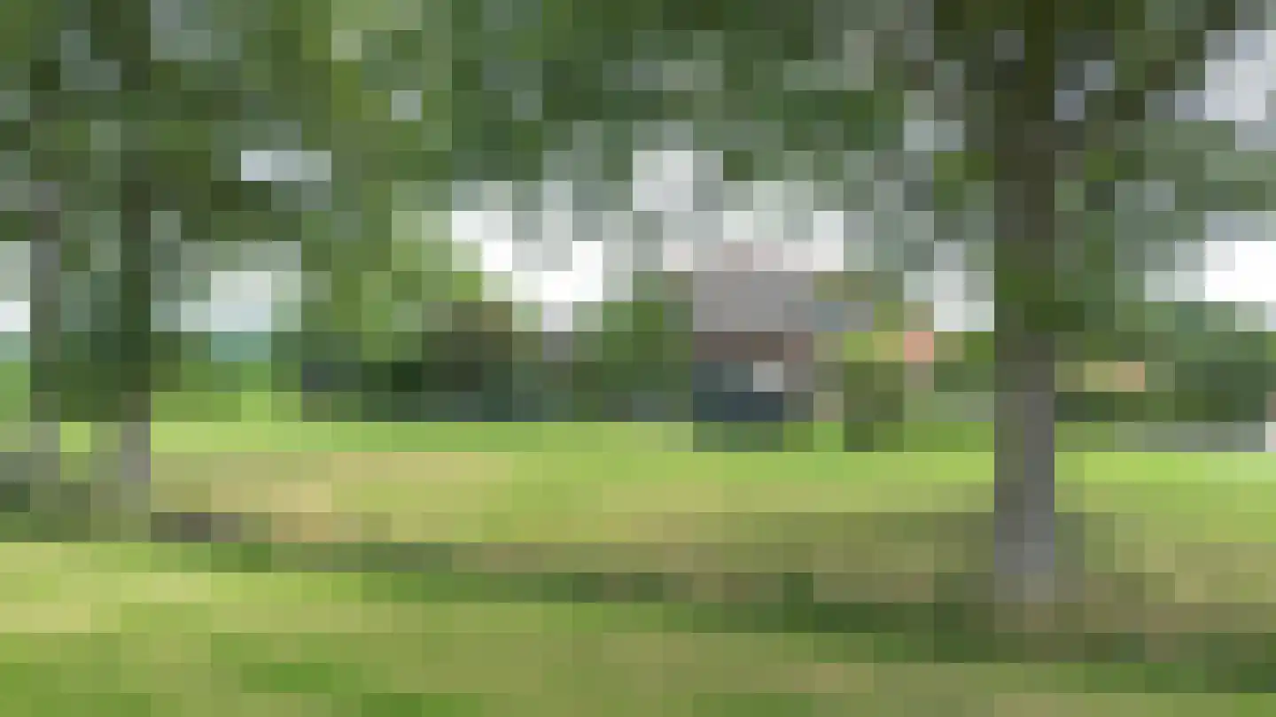 Twistdijk 4 Gelselaar thumbnail 42