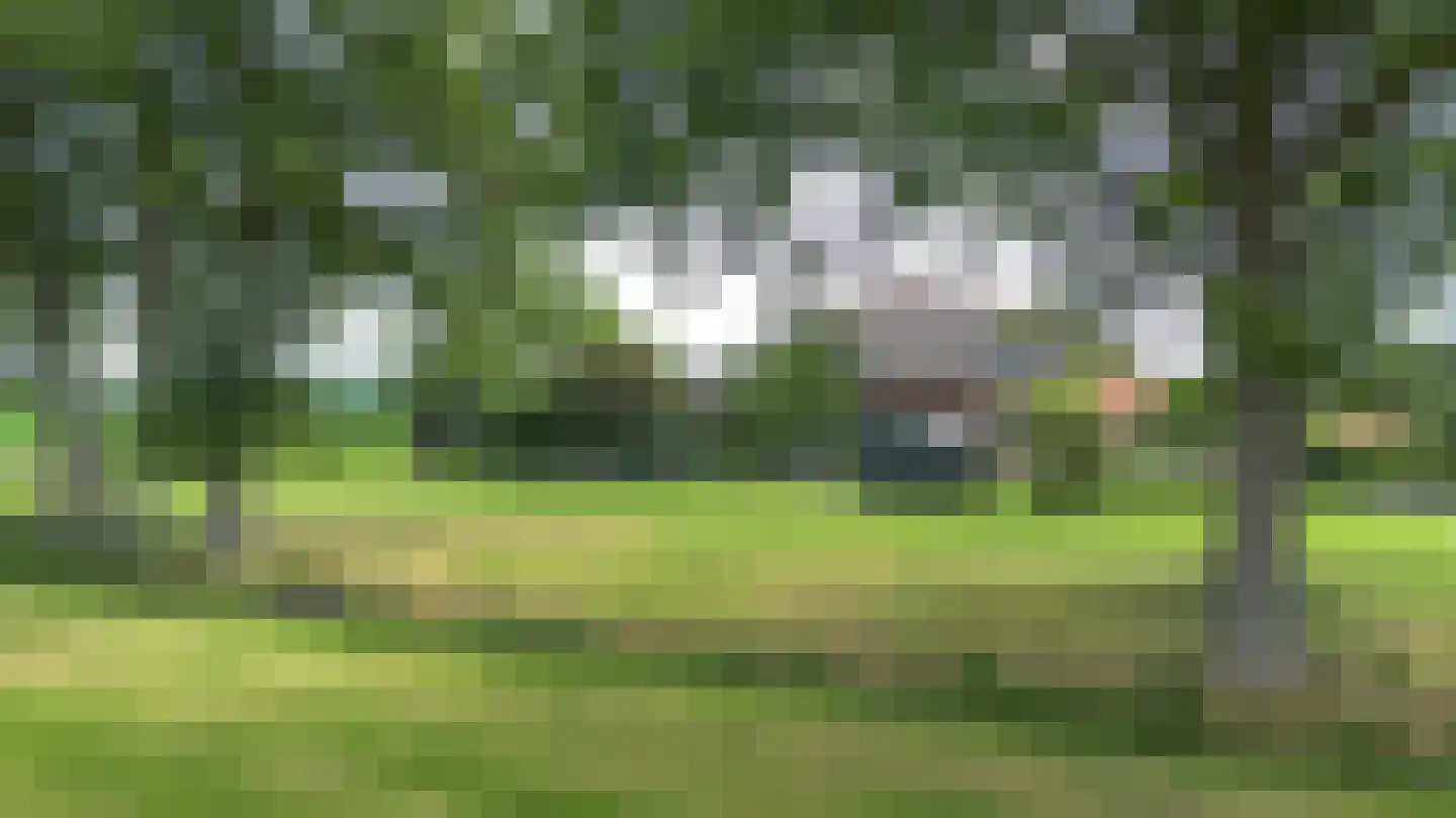 Twistdijk 4 Gelselaar thumbnail 43